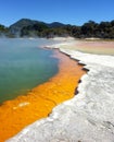 The Champagne Pool at Wai-O-Tapu or Sacred Waters Ã¢â¬â Thermal Wonderland Rotorua New Zealand. Royalty Free Stock Photo